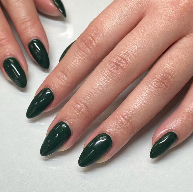 Kokoist - E-224 Midnight Forest