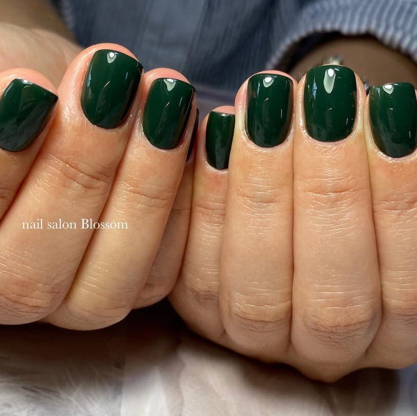 Kokoist - E-224 Midnight Forest